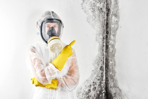 Mold Remediation for Rental Properties in Dawson, GA