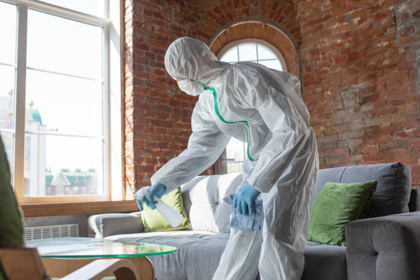 Best Mold Remediation for Rental Properties  in Dawson, GA